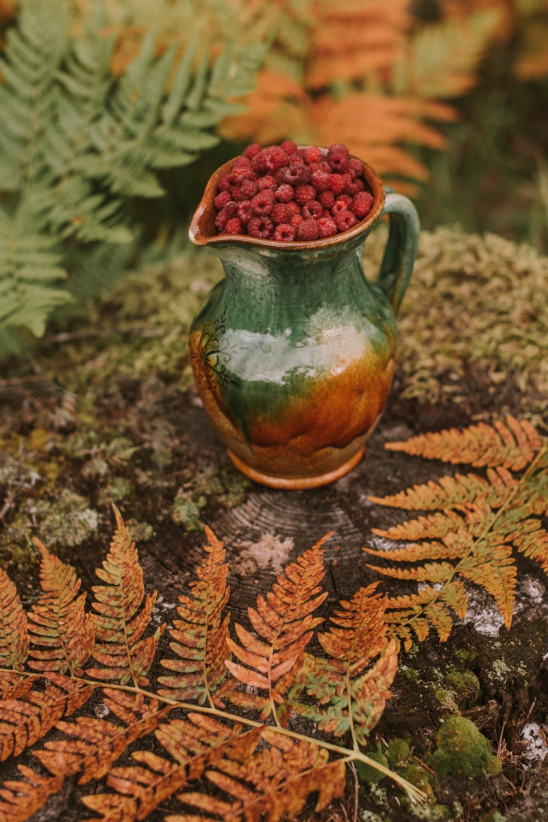 anita-austvika-vTZmNxKsjaQ-unsplash1bce.jpg 参考素材,灵感来源,色彩搭配,