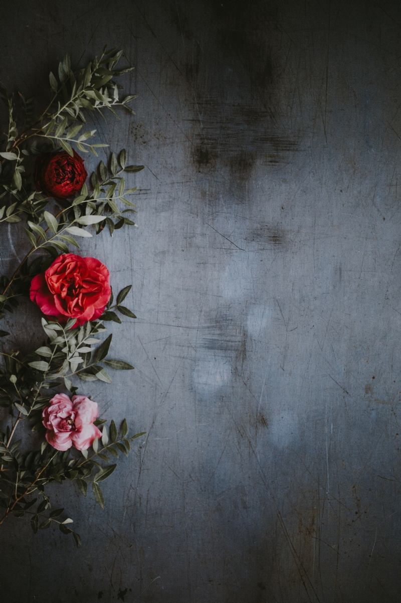 annie-spratt-wuc-KEIBrdE-unsplash5ecb.jpg 参考素材,灵感来源,色彩搭配,