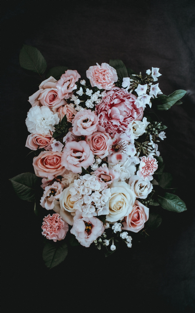 annie-spratt-x4YEK7o8L0c-unsplash5abd.jpg 参考素材,灵感来源,色彩搭配,