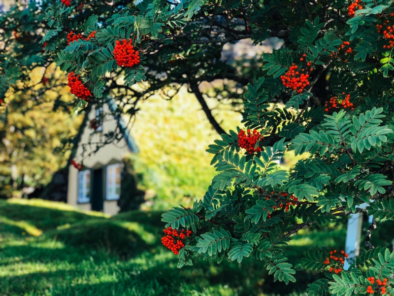 chris-liverani-9bHqiAsNHqk-unsplash4465.jpg 参考素材,灵感来源,色彩搭配,
