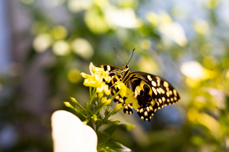 darren-halstead-JPD_5CXUXzk-unsplash8379.jpg 参考素材,灵感来源,色彩搭配,