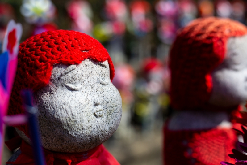 darren-halstead-pi4lr7TaB7w-unsplash173d.jpg 参考素材,灵感来源,色彩搭配,