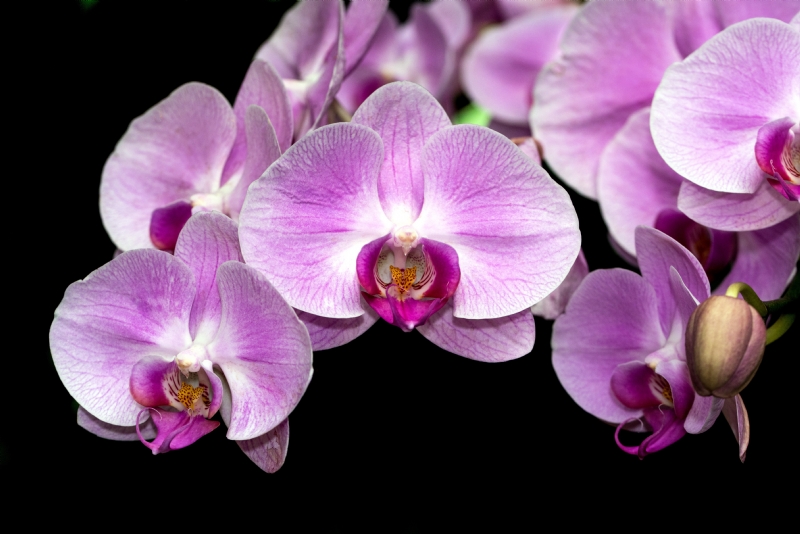 david-clode-BxjmwnKfD2Q-unsplash0bfd.jpg 参考素材,灵感来源,色彩搭配,