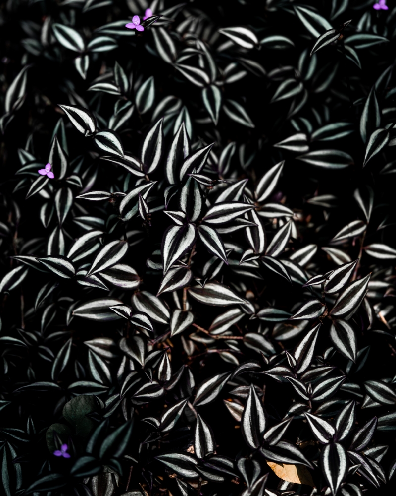 eriks-abzinovs-bq-o5KOMLXU-unsplash1d68.jpg 参考素材,灵感来源,色彩搭配,