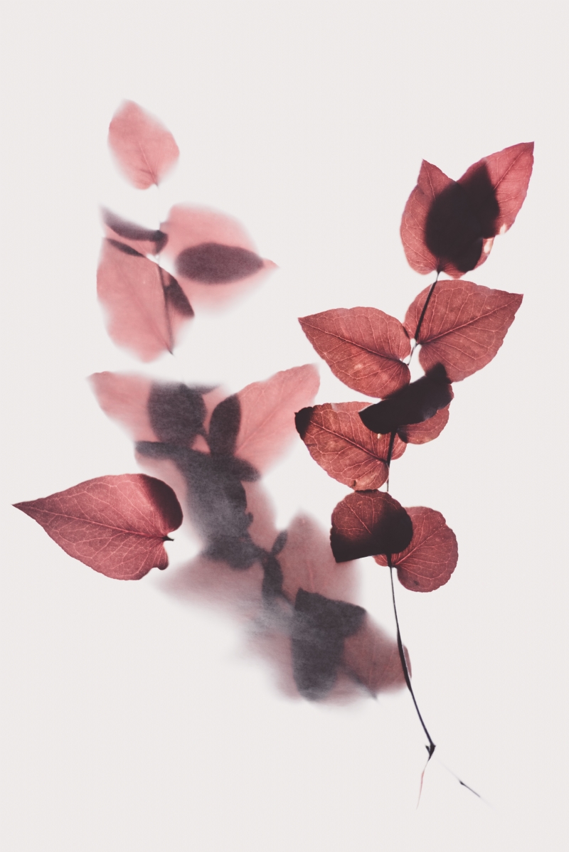 evie-s-_8vovuZCj0c-unsplash691f.jpg 参考素材,灵感来源,色彩搭配,