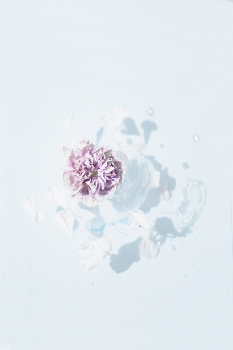 evie-s-5y3_NMBTpTM-unsplash30af.jpg 参考素材,灵感来源,色彩搭配,