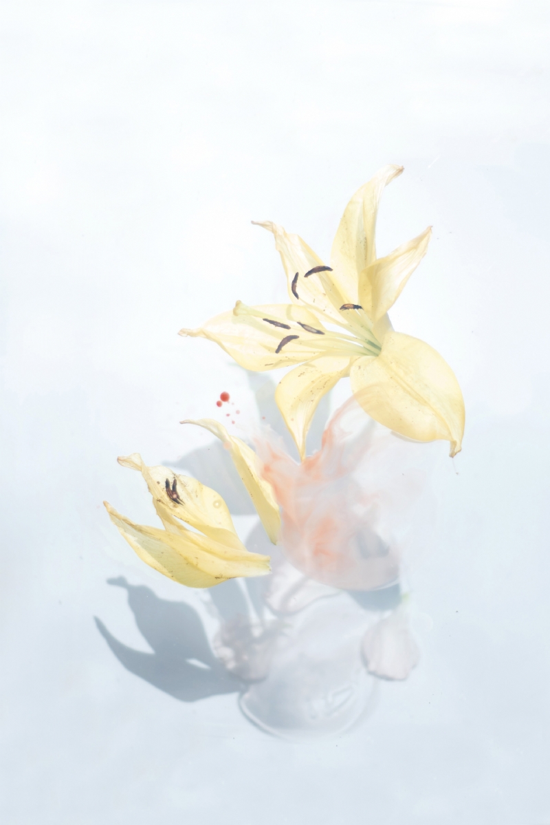 evie-s-KnoEP81a9Rk-unsplashb813.jpg 参考素材,灵感来源,色彩搭配,