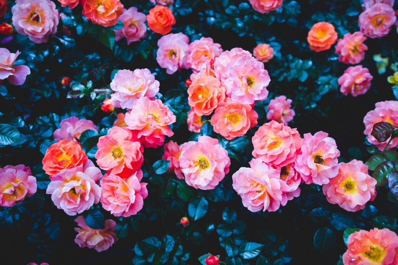felipe-santana-E5SL5do-qos-unsplash7f0b.jpg 参考素材,灵感来源,色彩搭配,