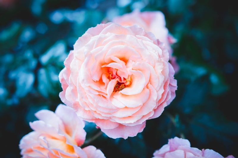 felipe-santana-HUks1ceKZVo-unsplash2812.jpg 参考素材,灵感来源,色彩搭配,