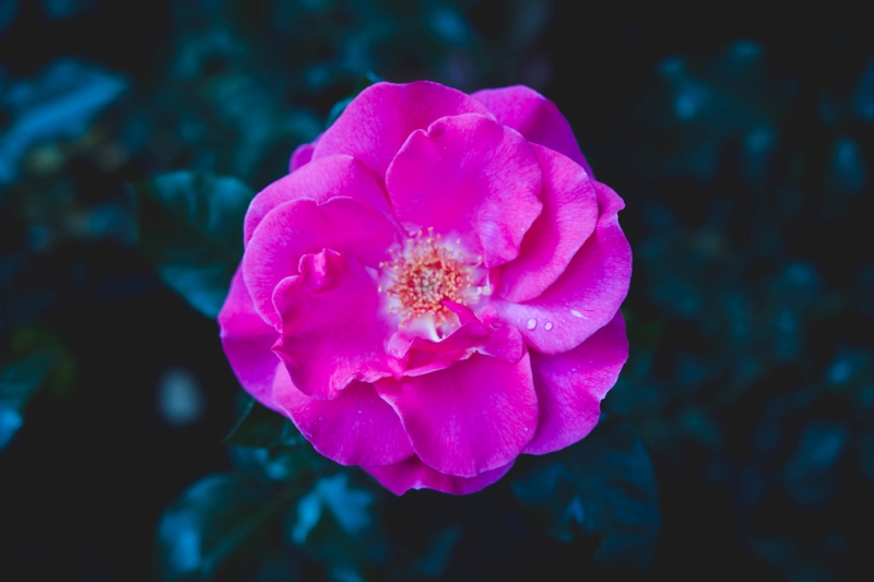 felipe-santana-jwBDFhMBhn0-unsplash18c5.jpg 参考素材,灵感来源,色彩搭配,