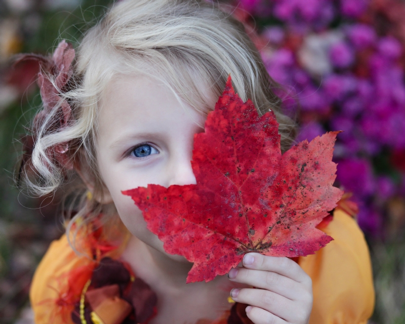 gabby-orcutt-7E29j_4GBNI-unsplash2ecc.jpg 参考素材,灵感来源,色彩搭配,