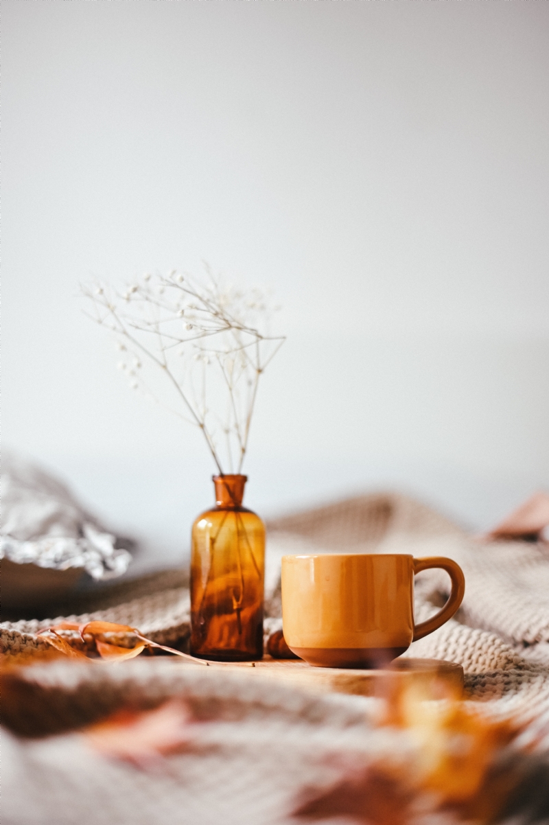gaelle-marcel-8osZR4WqHZQ-unsplash3864.jpg 参考素材,灵感来源,色彩搭配,