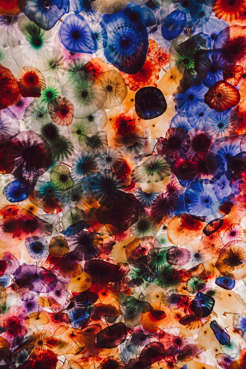 hari-nandakumar-wCZRoeS0Wio-unsplash5eda.jpg 参考素材,灵感来源,色彩搭配,