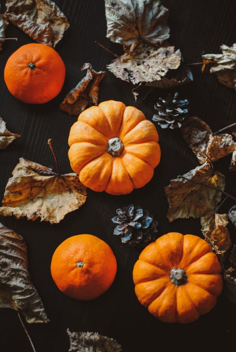 hello-i-m-nik-fjyAh0NLowI-unsplash1c88.jpg 参考素材,灵感来源,色彩搭配,