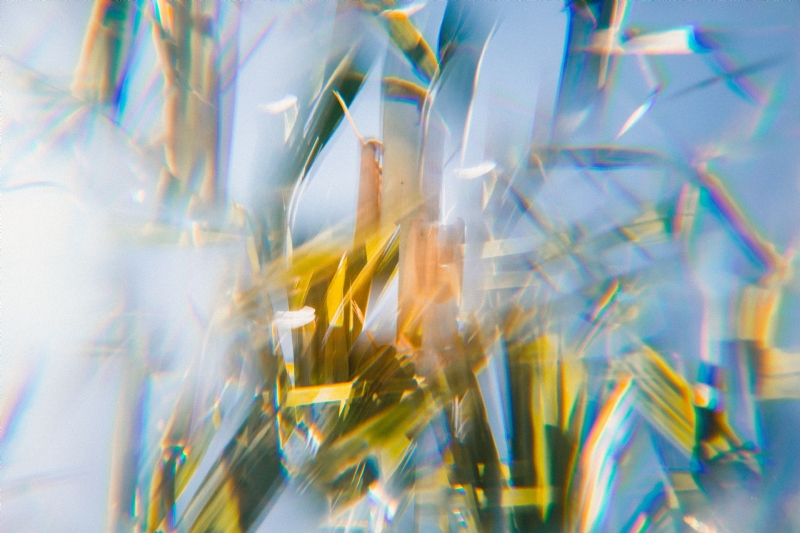 jakob-owens-zYD_XzNyRyo-unsplash7891.jpg 参考素材,灵感来源,色彩搭配,