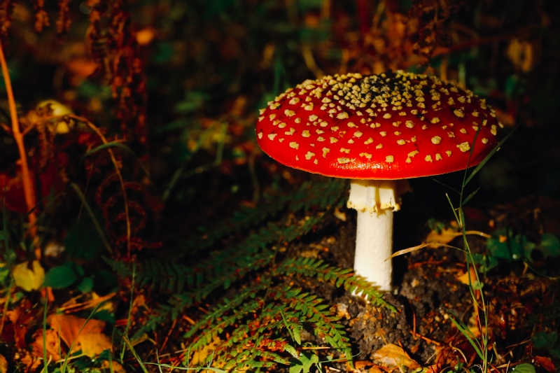 james-wainscoat--N-xRJNMFso-unsplash8cb4.jpg 参考素材,灵感来源,色彩搭配,