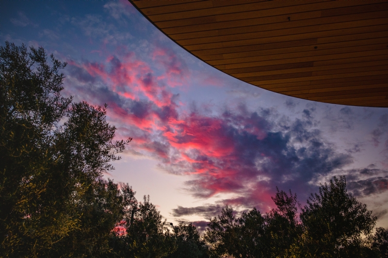 jason-leung-mc57Q9s8kiU-unsplashec72.jpg 参考素材,灵感来源,色彩搭配,