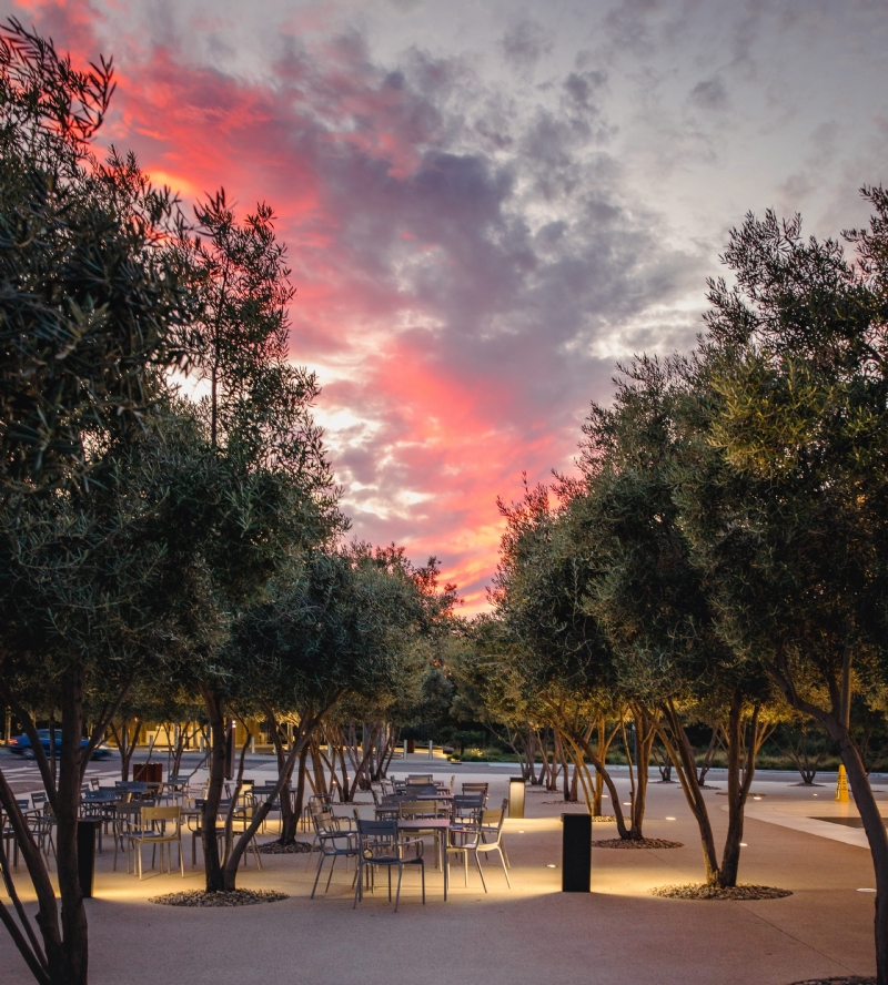 jason-leung-uE65JvBvFtk-unsplashf010.jpg 参考素材,灵感来源,色彩搭配,