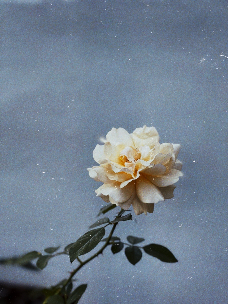 jon-tyson-63K50vC1iaQ-unsplash747d.jpg 参考素材,灵感来源,色彩搭配,
