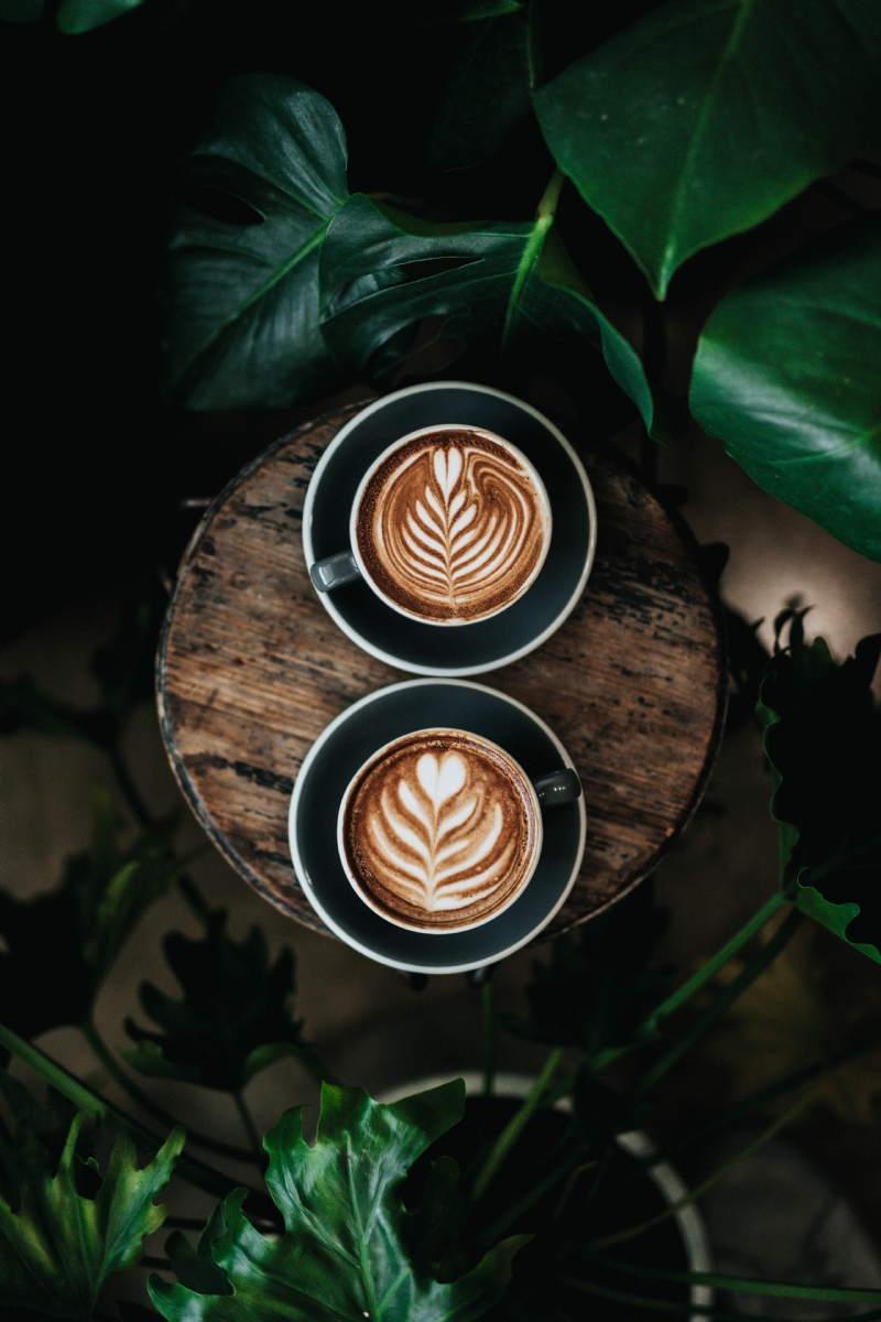 nathan-dumlao-c2Y16tC3yO8-unsplash3f35.jpg 参考素材,灵感来源,色彩搭配,