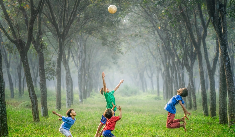 robert-collins-tvc5imO5pXk-unsplash2202.jpg 参考素材,灵感来源,色彩搭配,