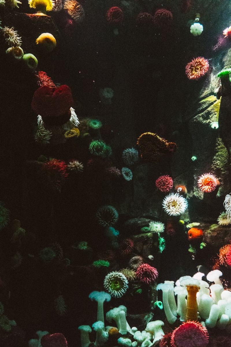 scott-webb-e3dY8laAQtA-unsplash514a.jpg 参考素材,灵感来源,色彩搭配,