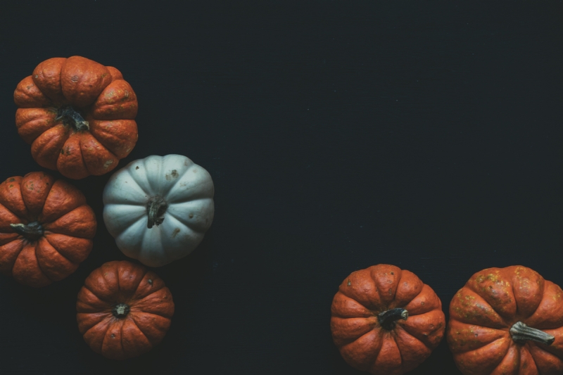 scott-webb-p2RtURPMBJE-unsplash56db.jpg 参考素材,灵感来源,色彩搭配,