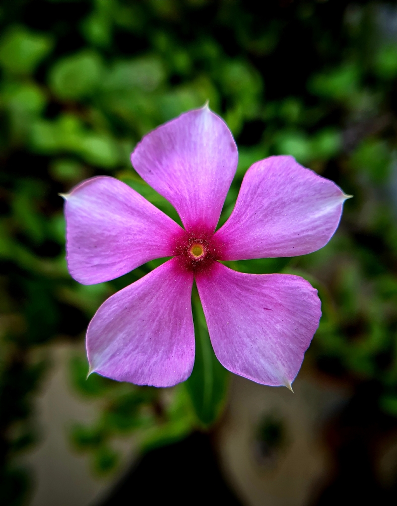 steve-gomes-n7WuroTupPQ-unsplash0b7a.jpg 参考素材,灵感来源,色彩搭配,