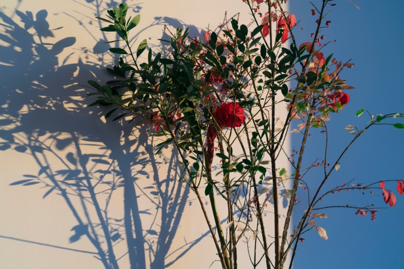thought-catalog-6IH1zP7b87M-unsplash0245.jpg 参考素材,灵感来源,色彩搭配,