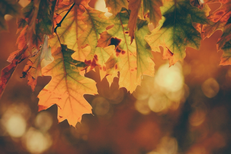 timothy-eberly-yuiJO6bvHi4-unsplash9385.jpg 参考素材,灵感来源,色彩搭配,