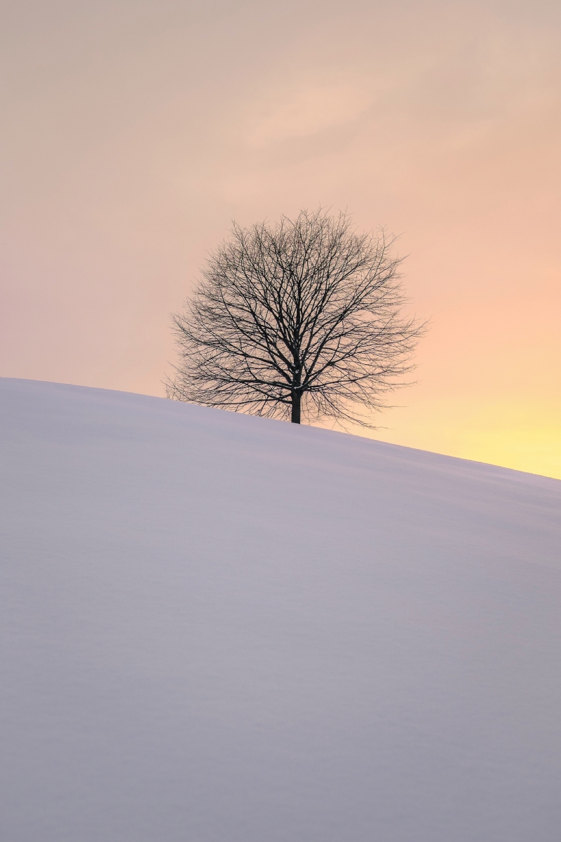 fabrice-villard-7__6lSyuYeA-unsplashbc35.jpg 方案配图,格调渲染,唯美梦幻,
