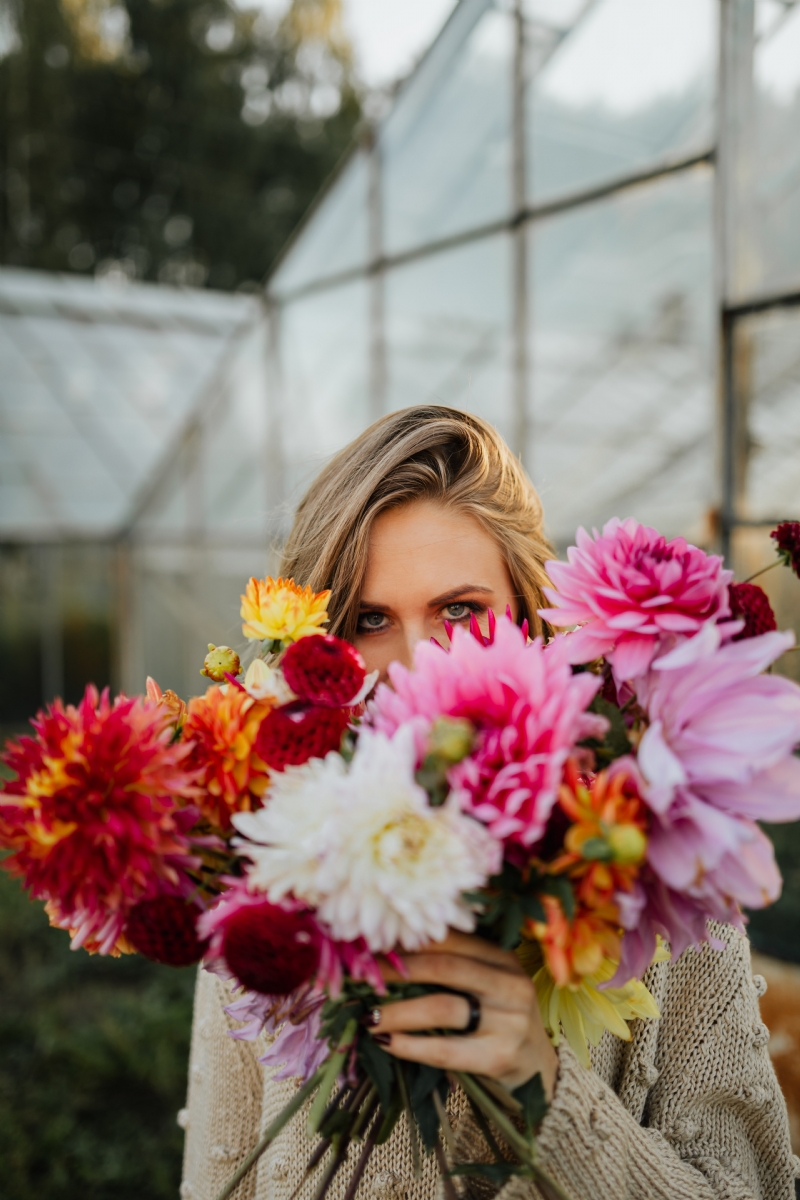 kaboompics_Beautiful colorful dahlia flowers.jpg 参考素材,灵感来源,色彩搭配,