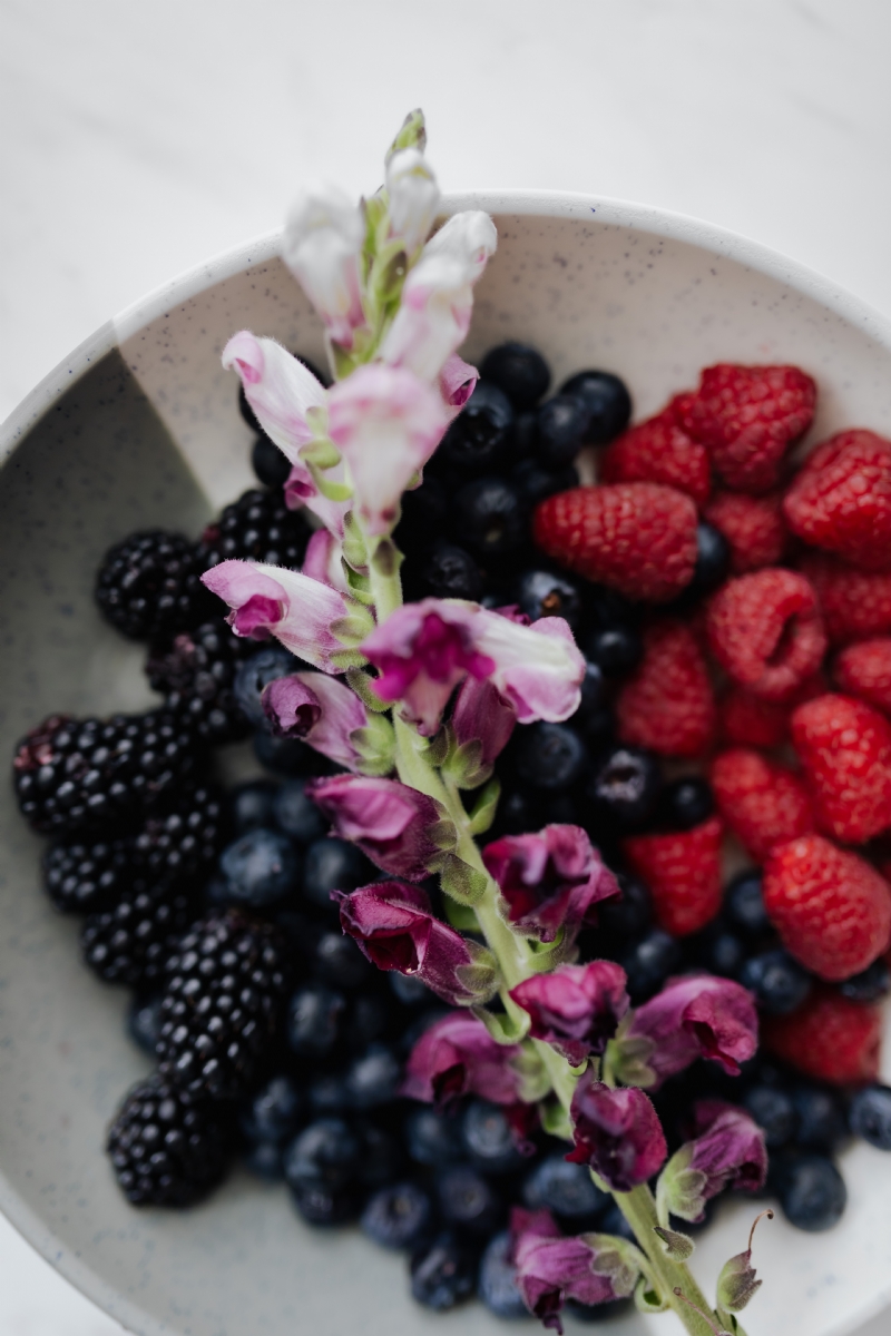 kaboompics_Blackberries, blueberries and raspberries in a bowl.jpg 参考素材,灵感来源,色彩搭配,
