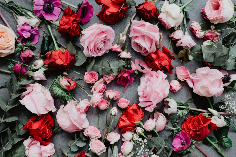 kaboompics_Composition of flowers.jpg 参考素材,灵感来源,色彩搭配,