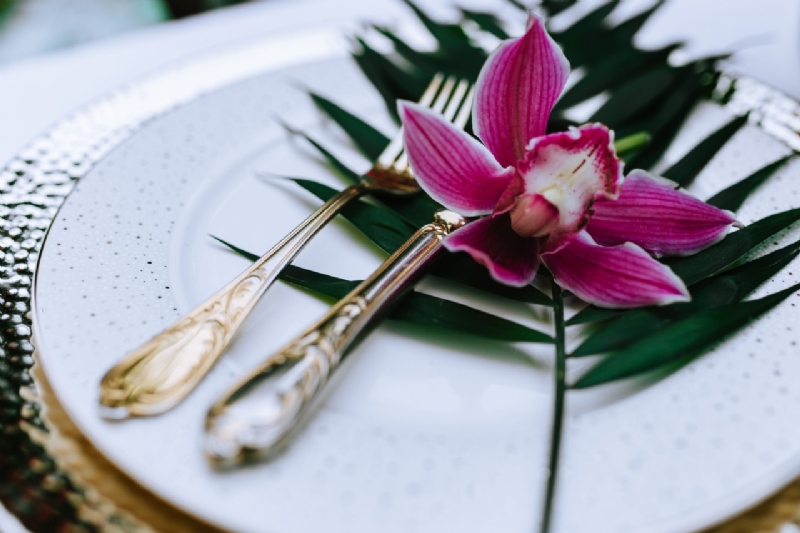kaboompics_Cymbidium, boat orchid-2.jpg 参考素材,灵感来源,色彩搭配,