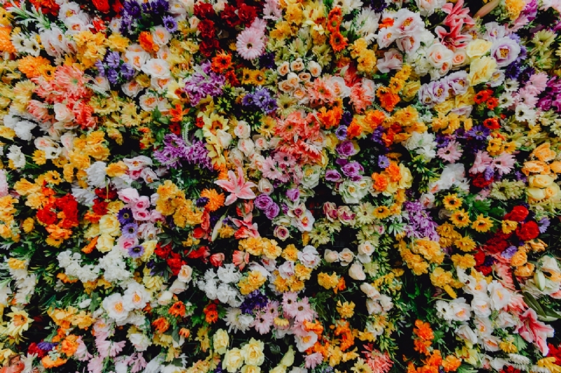kaboompics_Fest Santo Antonio - Various color flower background wall - Museu de Lisboa, Lisbon, Portugal-2.jpg 参考素材,灵感来源,色彩搭配,