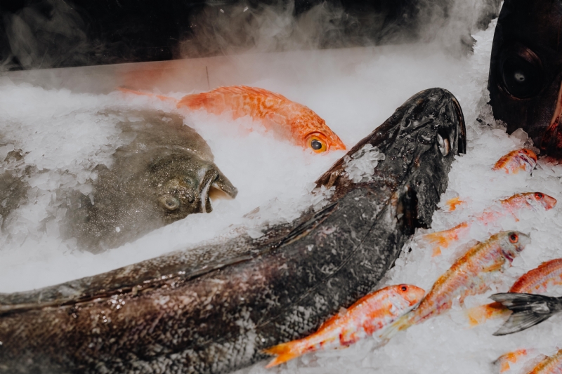 kaboompics_Fish trade.jpg 参考素材,灵感来源,色彩搭配,