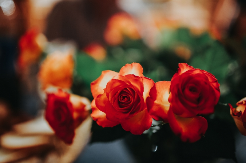 kaboompics_Flowers arranged in a beautiful bouquet.jpg 参考素材,灵感来源,色彩搭配,