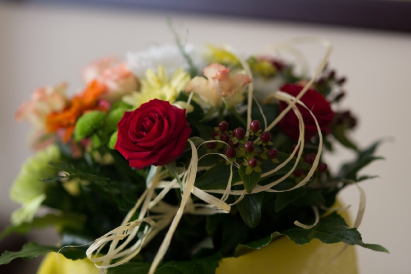 kaboompics_Flowers arranged in a beautiful bouquet-2.jpg 参考素材,灵感来源,色彩搭配,