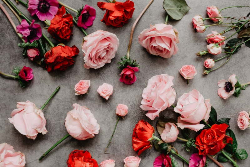 kaboompics_Flowers flat lay.jpg 参考素材,灵感来源,色彩搭配,