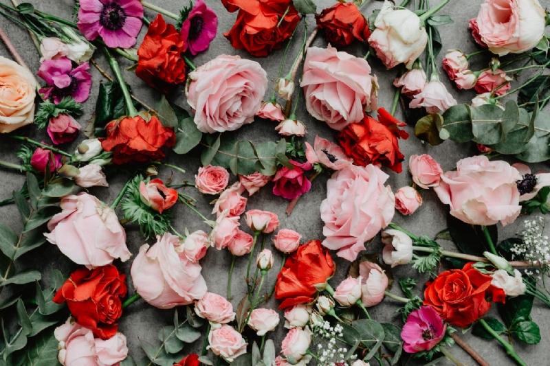 kaboompics_Flowers flat lay-2.jpg 参考素材,灵感来源,色彩搭配,