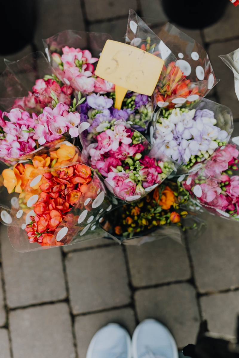 kaboompics_Freesia.jpg 参考素材,灵感来源,色彩搭配,