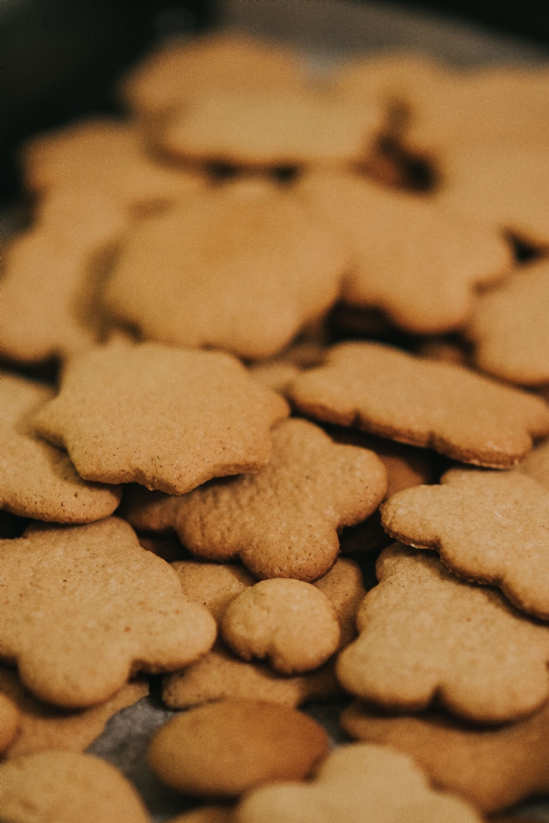 kaboompics_Homemade gingerbread cookies.jpg 参考素材,灵感来源,色彩搭配,
