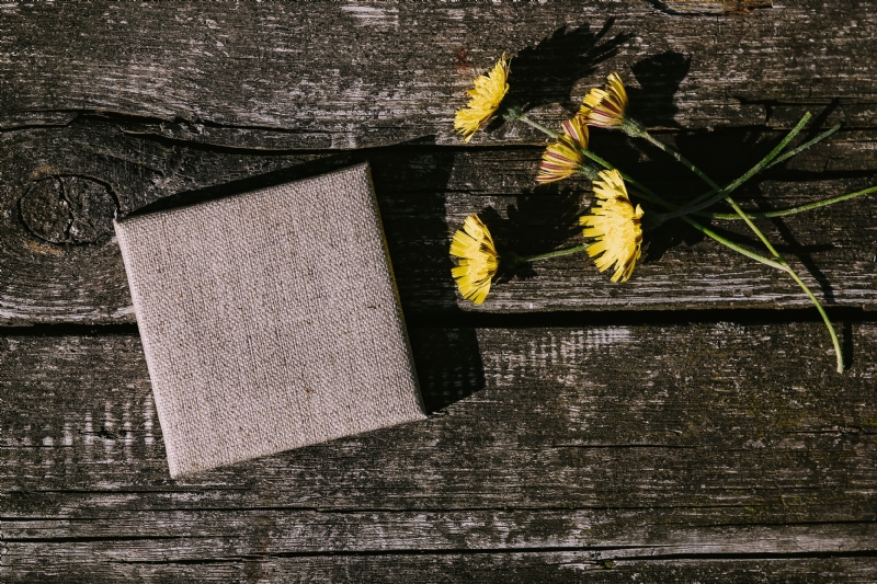 kaboompics_Little open space canvas with yellow flowers.jpg 参考素材,灵感来源,色彩搭配,