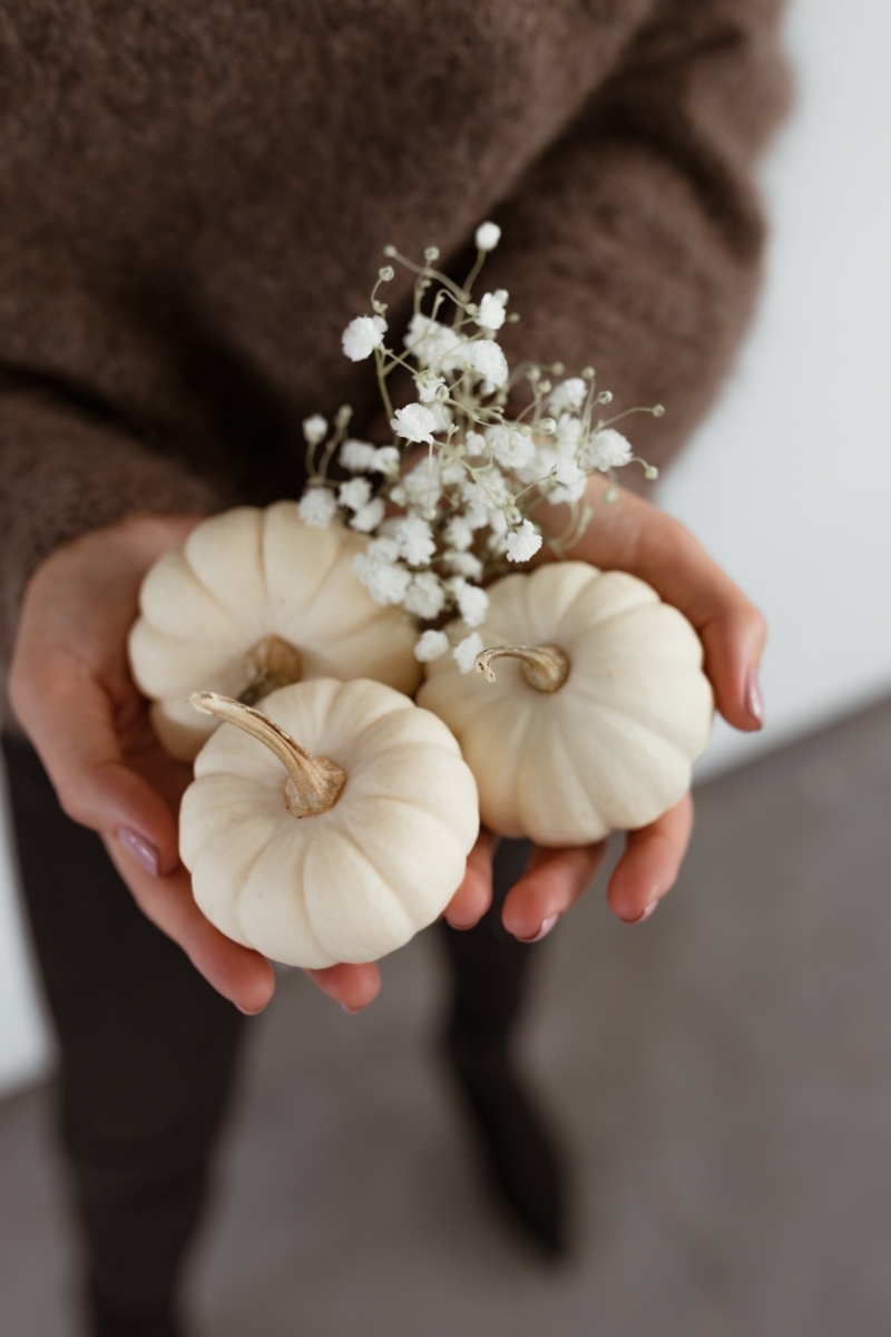 kaboompics_Mini white pumpkins-2.jpg 参考素材,灵感来源,色彩搭配,