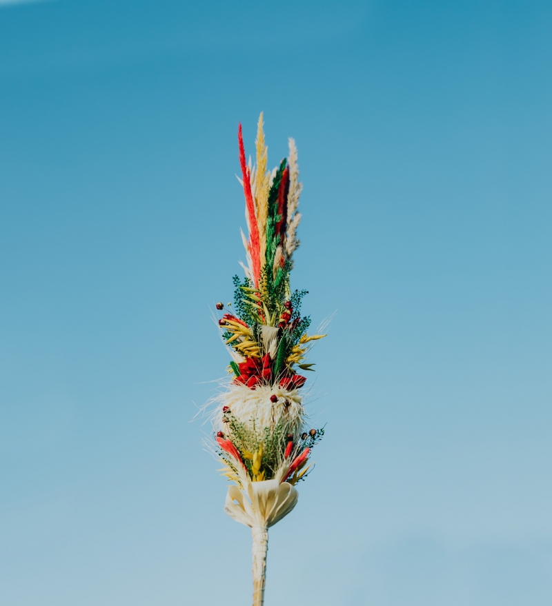 kaboompics_Palm Sunday - Niedziela Palmowa.jpg 参考素材,灵感来源,色彩搭配,