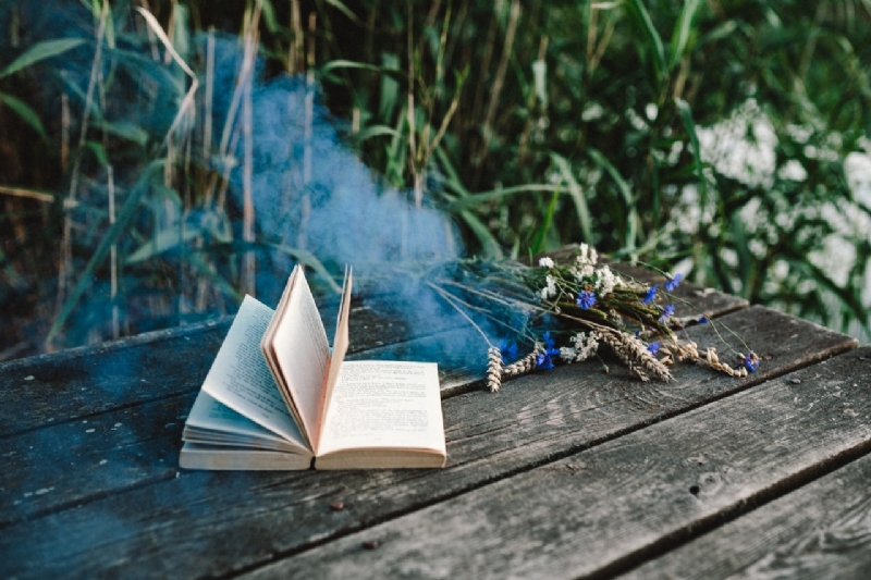 kaboompics_Colorful smoke bomb, book and vintage camera-2.jpg 参考素材,灵感来源,色彩搭配,