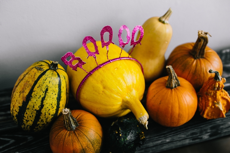 kaboompics_Pumpkins & Halloween.jpg 参考素材,灵感来源,色彩搭配,