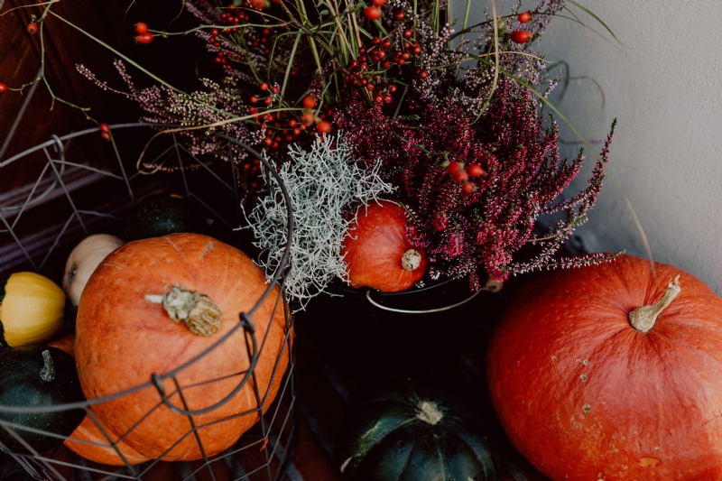 kaboompics_Pumpkins and flowers as decoration on stairs.jpg 参考素材,灵感来源,色彩搭配,