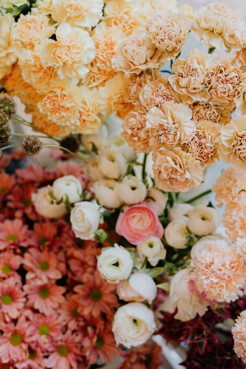 kaboompics_Ranunculus, buttercups, spearworts and water crowfoots, Dianthus, carnation, chrysanthemum.jpg 参考素材,灵感来源,色彩搭配,